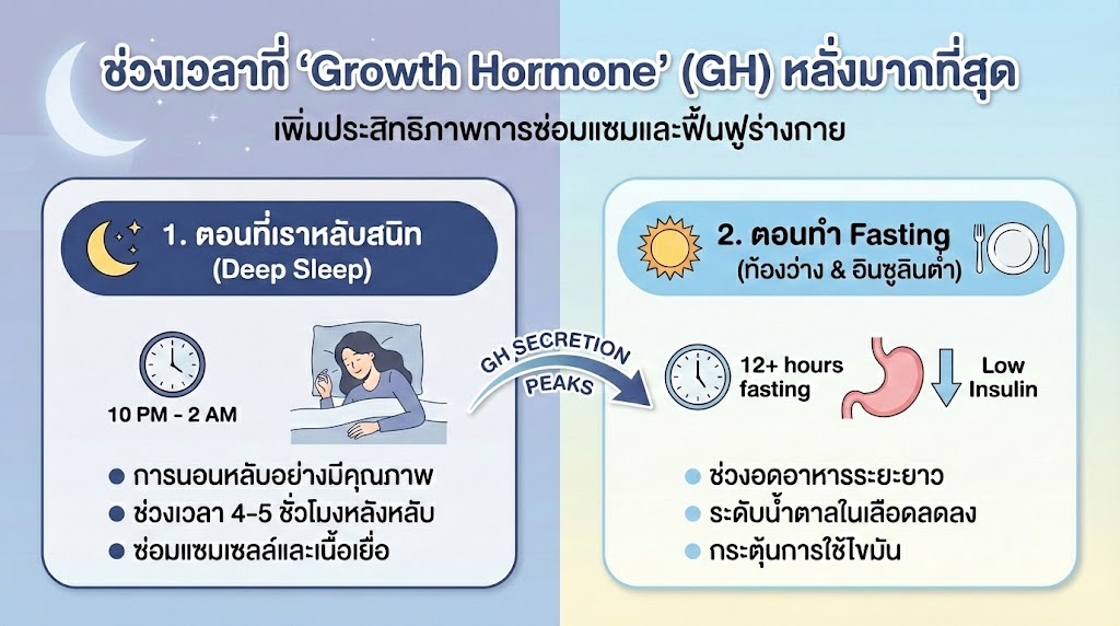 GH จะหลั่งออกมามากที่สุด 2 ช่วงเวลา
