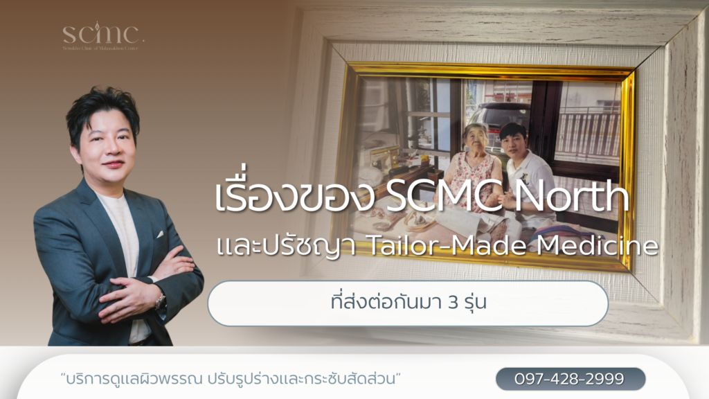 scmc-north-background-and-vision