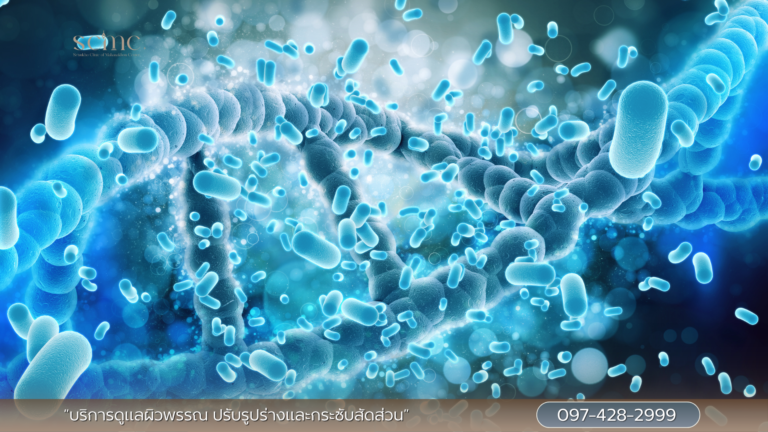 โพรไบโอติก