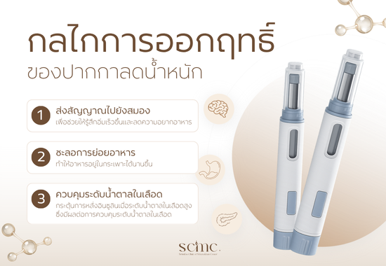 กลไกการออกฤทธิ์ของปากกาลดน้ำหนักต่อร่างกาย